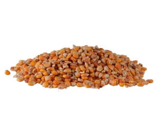 Kukuřice zrno, 25 kg