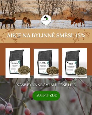 Preence Koně v našich podmínkách většinou nemají přístup k rozmanité pastvě, kde by si mohli dle potřeby vybrat vhodné...