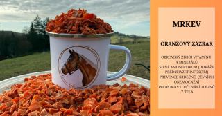 U nás najdete mrkvičku v té nejvyšší potravinářské kvalitě splňující všechny mikrobiologické a laboratorní atesty🧡....