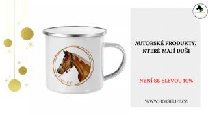 Inspirace pro Ježíška🎄. Chcete mít něco, co nemá každý a nabízíme jen v omezeném množství? Chcete být originální a přitom...