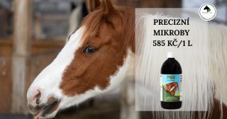 👉Konečníková voda, 👉kolika, 👉průjem? Precizní mikroby jsou výbornou prevencí proti těmto častým zdravotním komplikacím....